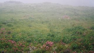 立山・黒部アルペンルートの最高地点