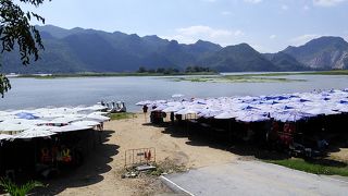 ターロービーチ