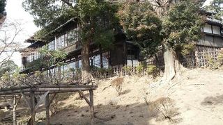 千と千尋の神隠しの湯屋のような雰囲気の建物です♪