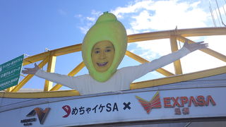 全国屈指の充実したサービスエリアです