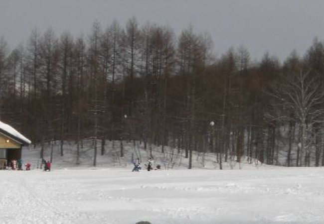 ゲレンデの風景