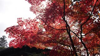 またきたか……からの、またこよう