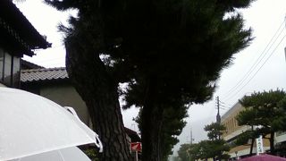 いろいろなお店が飽きさせません。