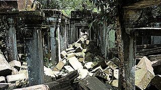 わざわざ行く価値はあるかと。