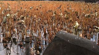 司馬乃屋嘉明が建立