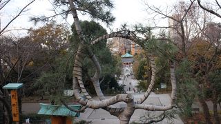 千手観世音菩薩