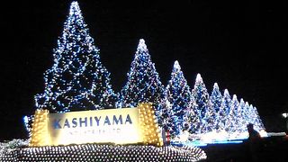 冬場のイルミネーションが見事