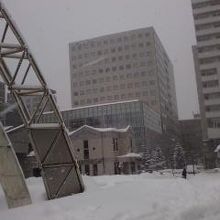 ちょっと遠くから撮影。