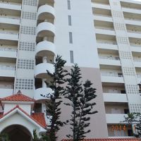 大型のマンション風