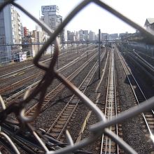 これは陸橋を渡って寛永寺の方に向かう