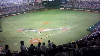 東京ドームにプロ野球OB戦を見に行った