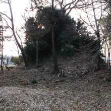 フェンスで近寄ることできません。掲示物なし。