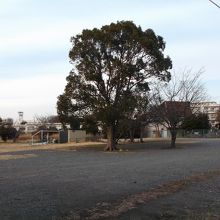 空地・グラウンド、子どもの家、近くは団地