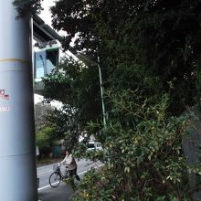 モノレール沿いに洲崎古戦場石碑発見(深沢住宅入口角)