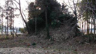 観光旅行者の方は行かれることないでしょうが・・研究探訪なら。