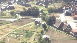 人・車が多すぎる・・・