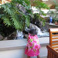 ロビースペースは広々快適