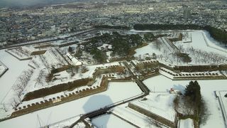 五稜郭を一望