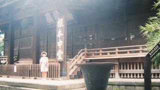 徳川家の菩提寺