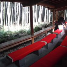 孟宗竹眺めながら茶席