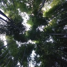 先掲者と同じようなショットになりました