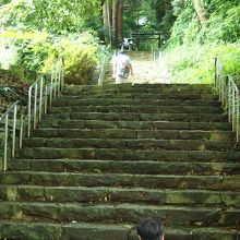 東本宮階段・・・上るの結構大変です