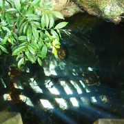 &#27125;觸神社から徒歩で