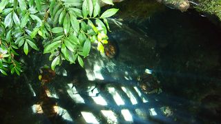 槵觸神社から徒歩で