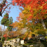 「鶏足寺」の入口に位置する寺院ですが、ここでも十分紅葉は綺麗でした