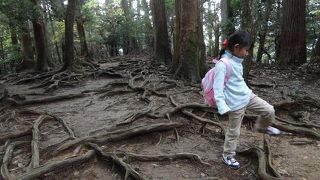 歩きにくい・・・　でも、面白いから、いい！！