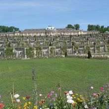 花も満開のサンスーシ宮殿と庭