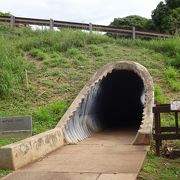 タイムトンネルを抜けたら