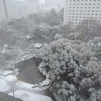 窓からの眺望、雪の庭園。