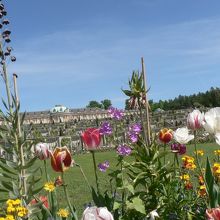 庭園内に咲き乱れる花群