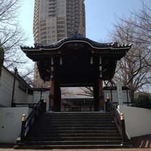 不思議な光景ですね