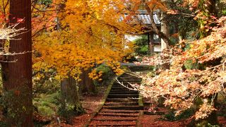 京都園部の隠れた紅葉の名所