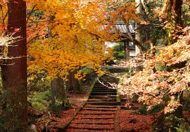 京都園部の隠れた紅葉の名所