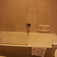 ガラスドアが半分だけ、隙間からのみずもれ注意です