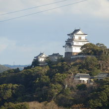 素晴らしいお城です