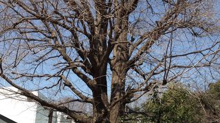 初代アメリカ合衆国公使館がありました