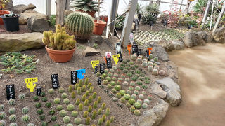 案外、大人も楽しめる