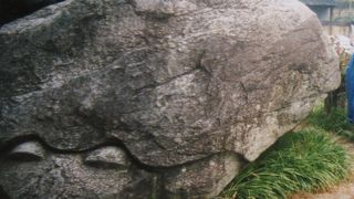 ユーモラスな顔つき