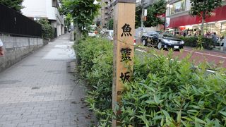 散策が楽しいです