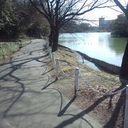 東海市役所からも直結している憩いの公園