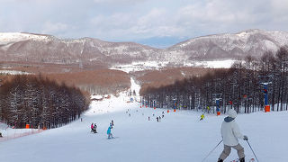 スキーヤーオンリーで滑りやすい