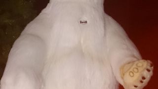 実物大の動物のぬいぐるみがお出迎え