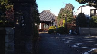 大カシを見逃さずに。