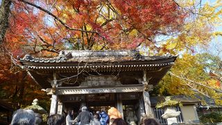 紅葉の季節がおすすめ。