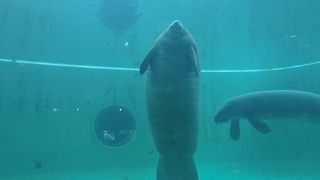 上と横から見えて面白かった