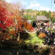 篠山の紅葉の映える古刹